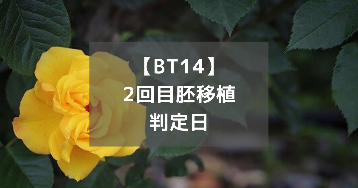 【BT14】2回目胚移植判定日