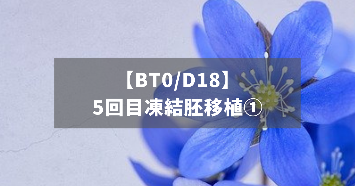 【BT0/D18】5回目凍結胚移植①
