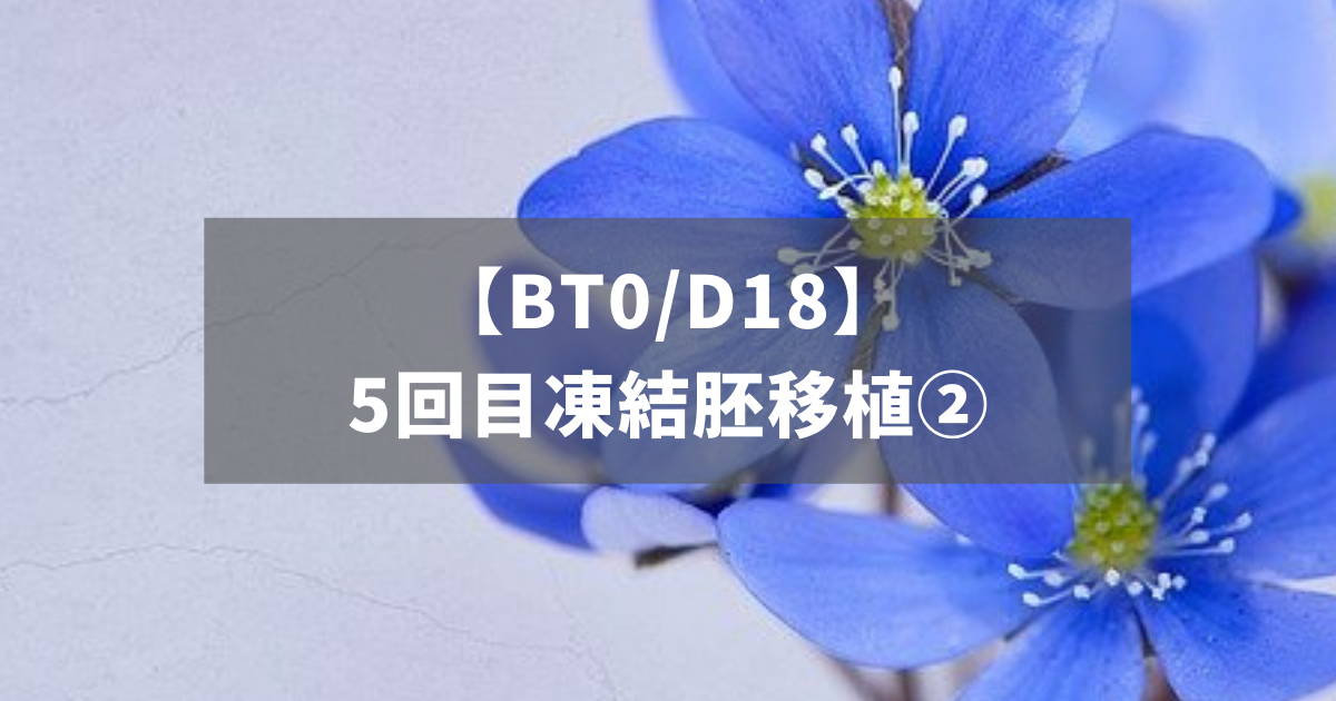 【BT0/D18】5回目凍結胚移植②