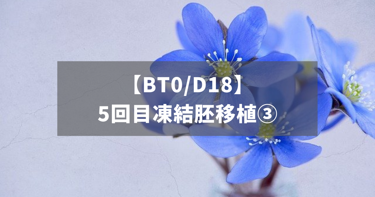【BT0/D18】5回目凍結胚移植③